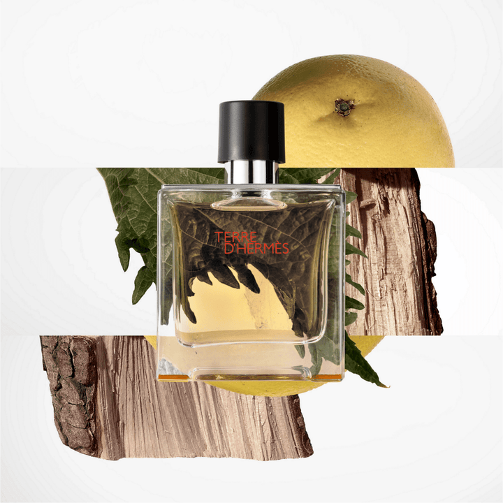Hermes Terre D'hermes Eau De Toilette Spray 100ml - Fragrance London