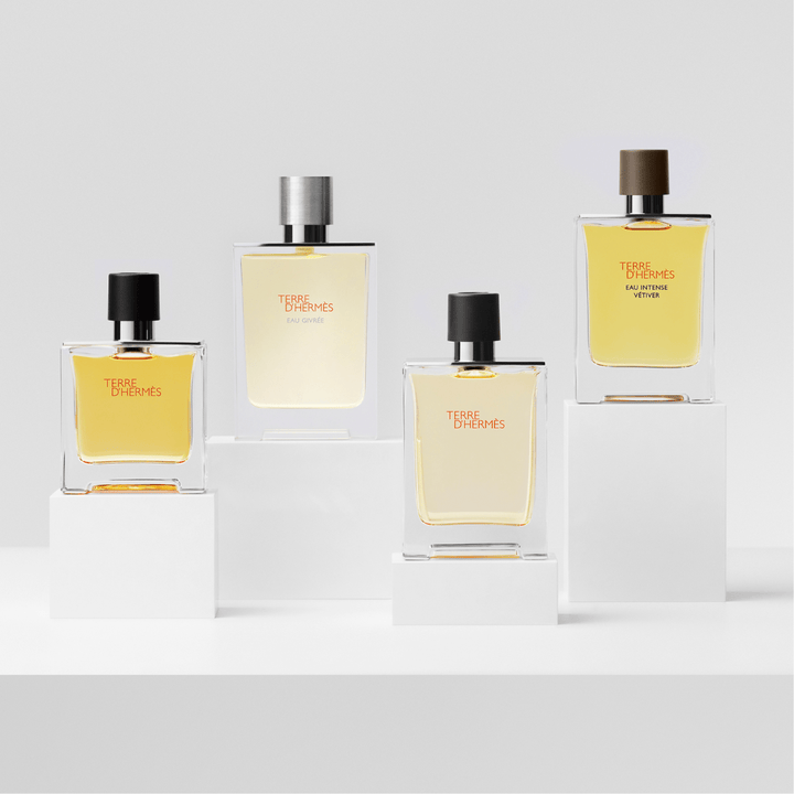 Hermes Terre D'hermes Eau De Toilette Spray 100ml - Fragrance London