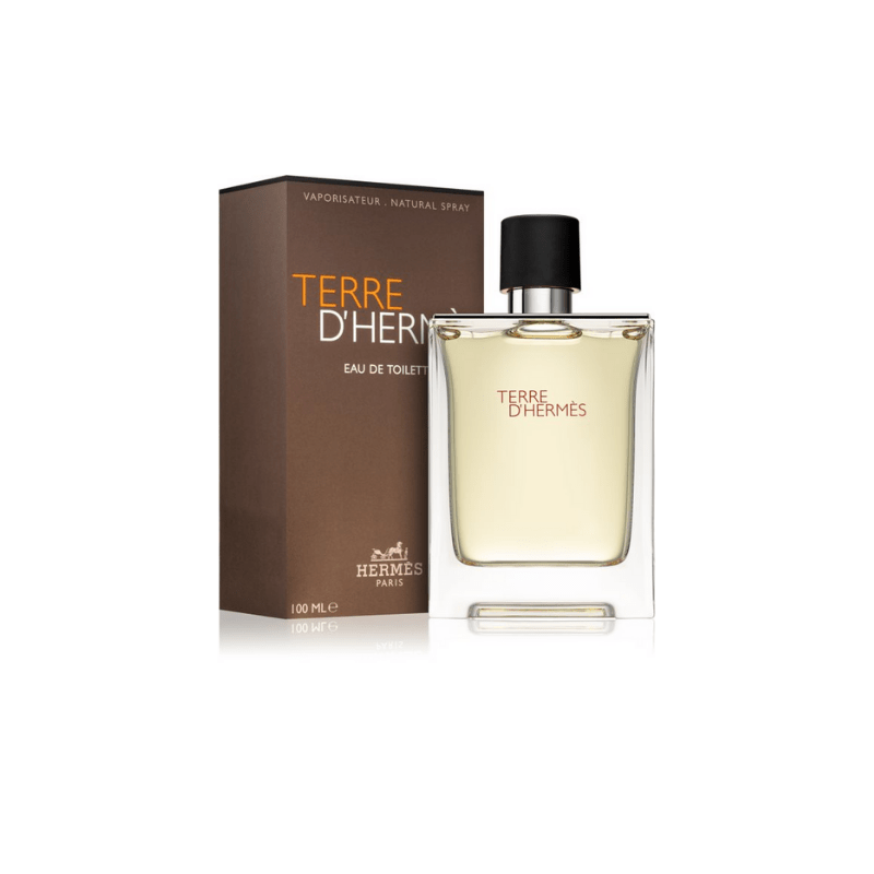 Hermes Terre D'hermes Eau De Toilette Spray 100ml - Fragrance London