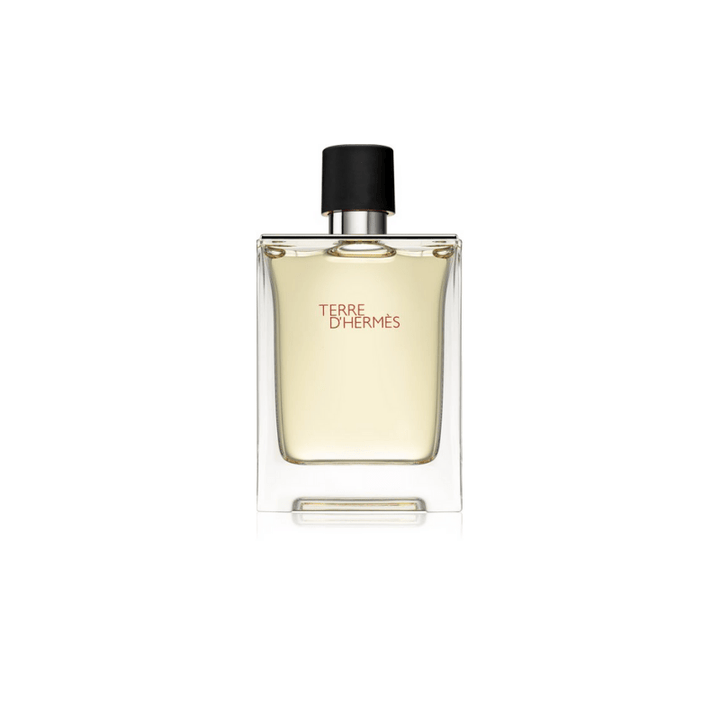 Hermes Terre D'hermes Eau De Toilette Spray 100ml - Fragrance London