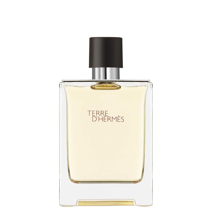 Hermes Terre D'hermes Eau De Toilette Spray 100ml - Fragrance London
