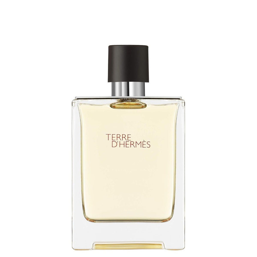 Hermes Terre D'hermes Eau De Toilette Spray 100ml - Fragrance London