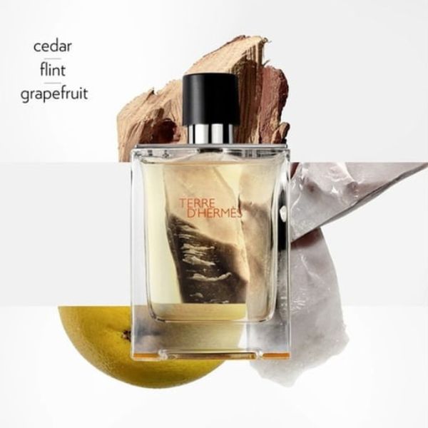 Hermes Terre D'hermes Eau de Toilette Spray 50ml - Fragrance London