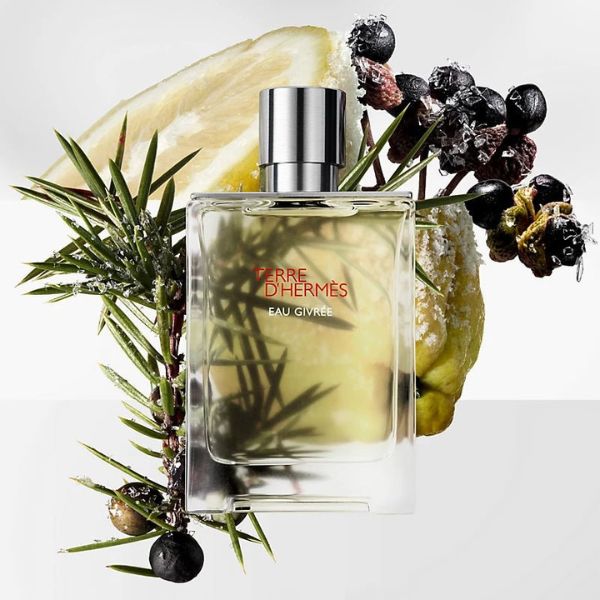 Hermes Terre d'Hermes Eau Givree Eau de Parfum Spray 175ml - Fragrance London