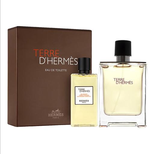 Hermès Terre d’Hermès Gift Set (Eau De Toilette 100ml + Shower Gel 80ml) - Fragrance London