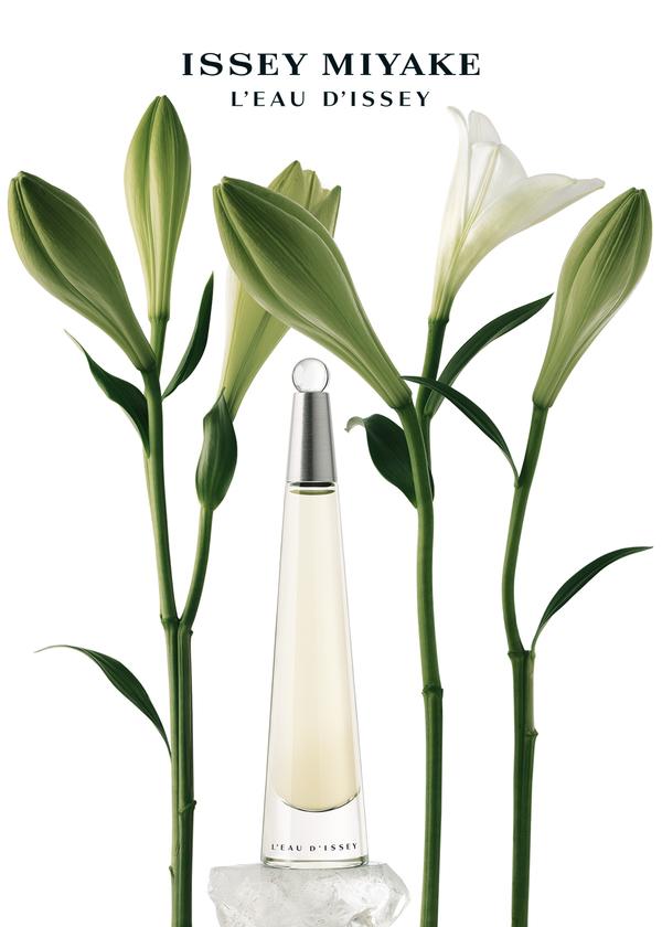 Issey Miyake L'Eau D'Issey Pour Femme Eau de Toilette Spray 100ml - Fragrance London