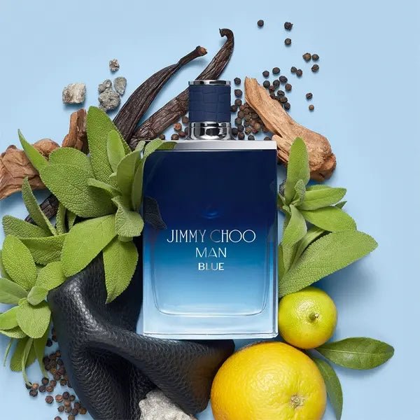 Jimmy Choo Man Blue Eau De Toilette Spray 30ml - Fragrance London