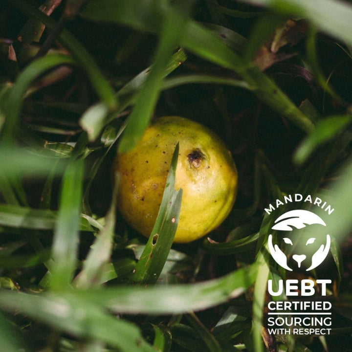 Kenzo Nuage Cerisier Eau De Parfum Spray 75ml - Fragrance London