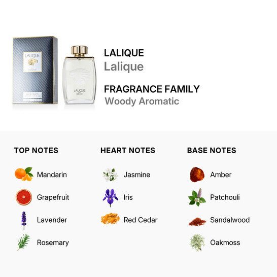 Lalique Pour Homme Lion Eau De Parfum Spray 125ml - Fragrance London