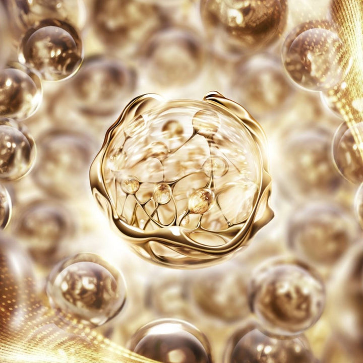 Lancôme Absolue Eye Cream 20ml - Fragrance London