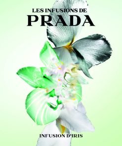 Prada Infusion D'Iris Eau de Parfum Spray 100ml - Fragrance London