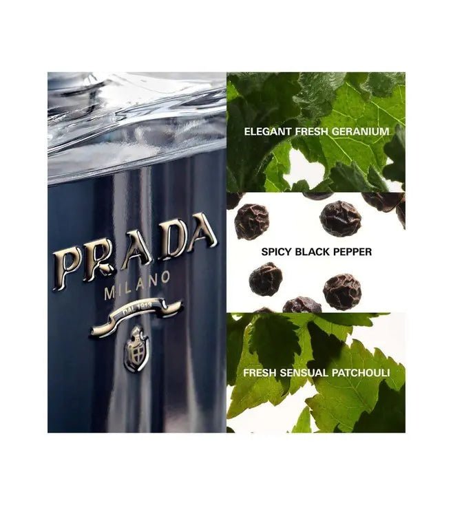 Prada L'homme Eau De Toilette Spray 100ml - Fragrance London