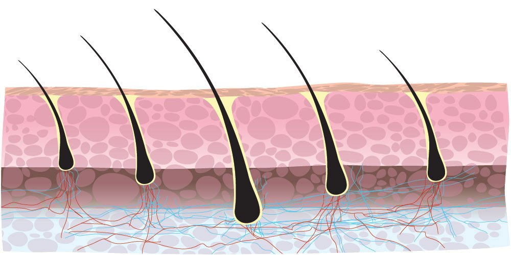 RESEED R8 Botanical Solution for Women 50 ml - Fragrance London