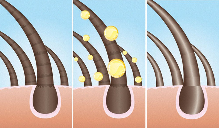 RESEED Sabal and Neem Fortifying Shampoo for Men - Fragrance London