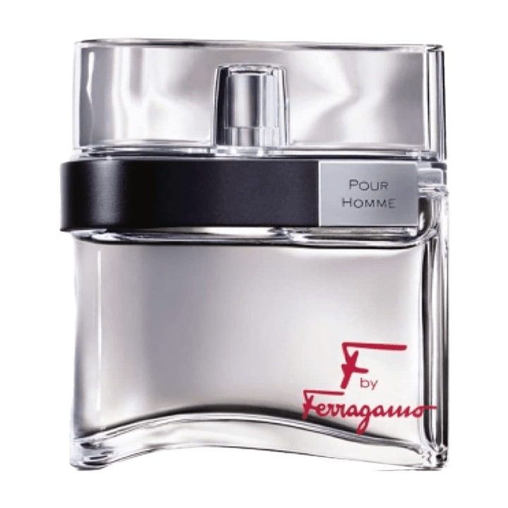 Salvatore Ferragamo F Pour Homme Eau de Toilette Spray 100ml - Fragrance London