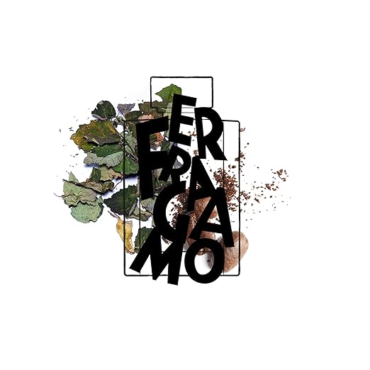 Salvatore Ferragamo Uomo Signature Eau De Parfum Spray 100ml - Fragrance London